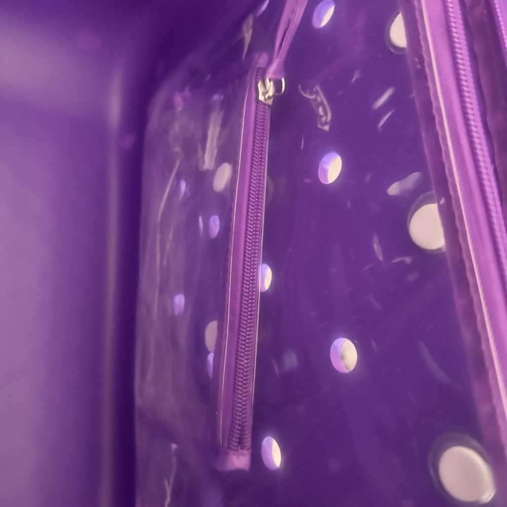 Purple Women's Bag